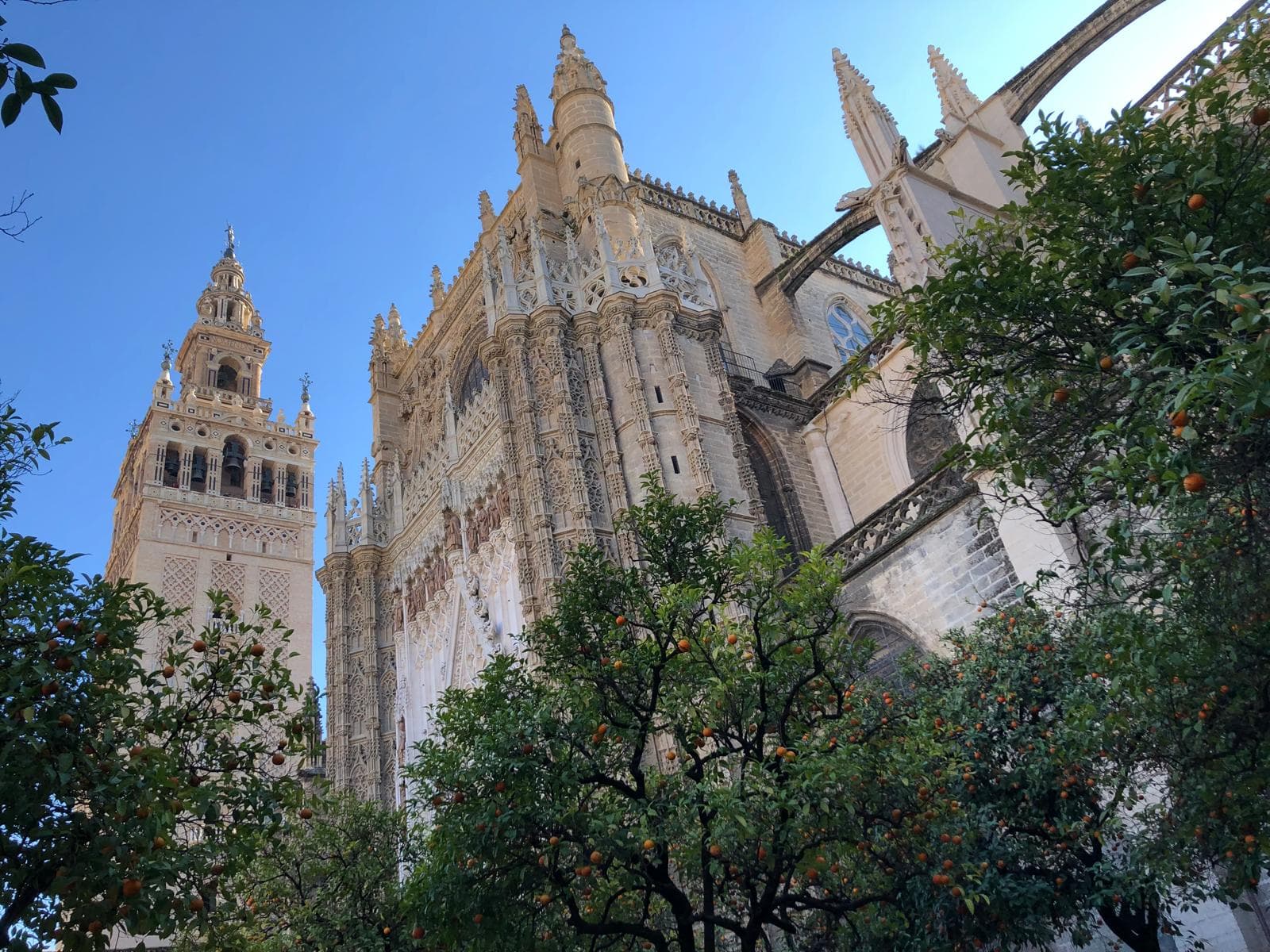 Seville Cathedral & La Giralda